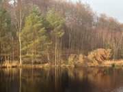 Waldsee nicht weit vom Ostseestrand: Mmmelkensee bei Bansin.