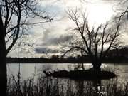 Schwaneninsel: Der Klpinsee nahe der Ostseekste.