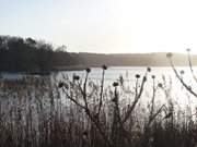 Blick von der Strandstrae: Der Klpinsee im Seebad Loddin.