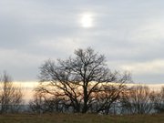 Landschaft bei Garz: Steilkste am Stettiner Haff.