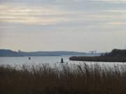 Blick nach Wolgast: Inselbrcke ber den Peenestrom.