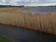 Inselmitte: Die Melle am Seebad Loddin auf Usedom.