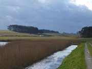 Hoher Wasserstand: Die Melle, ein Achterwasserarm bei Loddin.