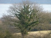 Usedomer Hinterland: Blick vom Glaubensberg auf den Schmollensee.