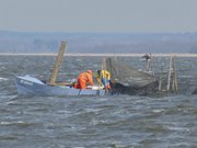 Schwere Arbeit: Fischerei auf dem Peenestrom bei Usedom.