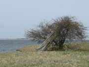 Nepperminer See und Achterwasser: Usedomer Hinterland.