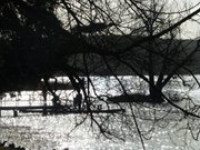 Klpinsee und Schwaneninsel: An der Strandpromenade von Loddin.