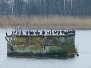 Sockel im Wasser: Reste der frheren Eisenbahnhubbrcke.