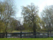 Weiher am Schloss: Stolpe an der Usedomer Haffkste.