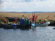 Fischerboote im Achterwasserhafen von Loddin.