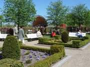 Frhlingsblten am Kurplatz des Usedomer Kaiserbades Heringsdorf.