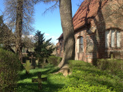 Im Kirchhof von Morgenitz: Usedomer Hinterland im Frhjahr.