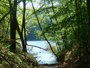 Durchblick auf den Trkiessee: Ostseeinsel Wollin.