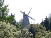 Mhlenberg bei Benz: Hollnderwindmhle am Schmollensee.