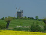 Bockwindmhle: Landschaft in der Nhe von Pudagla.