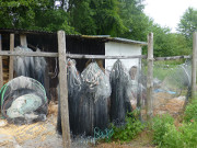 Fischernetze: Fischfang auf dem Gothensee.