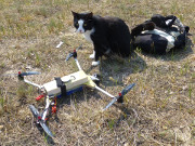 Technisch interessiert: Igor, das Maskottchen der Steinbock-Ferienwohnungen.