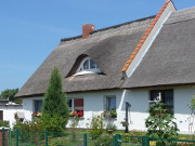 Bauerngarten: Fischerdorf ckeritz auf Usedom.