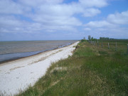 Halbinsel Struck: Sandstrand am Greifswalder Bodden.