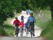 Radfahren auf der Insel Usedom: Radweg am Gothensee.