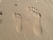 Durchwachsenes Wetter ldt zum Strandspaziergang ein.