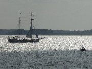 "Weie Dne": Achterwasser-Rundfahrt mit dem Segelschiff.