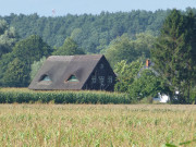 Am Stettiner Haff: Rohrgedecktes Haus bei Stolpe.