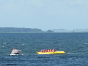 Absitzen: Scharfe Wendung vor dem Ostseestrand.