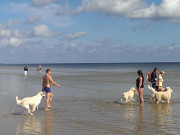 Hundeparadies: Das nrdliche Ende des Usedomer Sandstrandes.