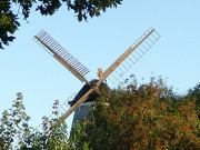 Farben des Sptsommers: Der Mhlenberg zu Benz.