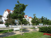 Acht Kilometer Strandpromenade in den Kaiserbdern.