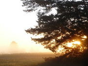 Wiesen im Nebel: Hinter den Steinbock-Ferienwohnungen geht die Sonne auf.
