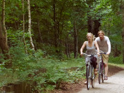 Radfahren auf Usedom: Der Kstenradgweg auf dem Streckelsberg.