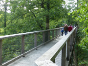 Aufstieg: Spiralfrmig steigt der Weg ber die Baumwipfel an.