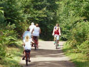 Aktivurlaub an der Ostsee: Auf dem Kstenradweg Usedoms.