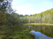 Der Mmmelkensee: Zwischen ckeritz und Bansin.