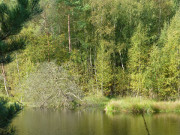 Hochmoor auf Usedom: Der Mmmelkensee.