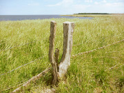 Halbinsel Struck: Im Greifswalder Bodden.