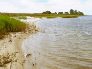 Sandstrand am Greifswalder Bodden: Der Struck.