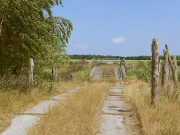 Brcke ber Meliorationsgraben: Naturschutzgebiet Struck.