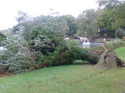 An der Strandpromenade: Weide liegt im Klpinsee.