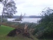 An der Klpinseer Strandpromenade: Umgebrochene Bume.