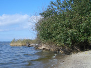 Herbstliche Bilder: Sandstrand am Konker Berg.