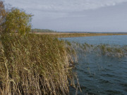 Schilffrbung: Herbst an der Krumminer Wiek.