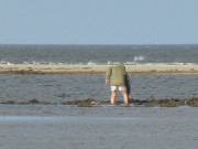 Flachwasser am Peenemnder Haken: "Schatzsucher" im Tang.