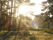 Gegenlicht: Abendstimmung an den Steinbock-Ferienwohnungen.