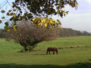 Landschaft am Kachliner See: Auf dem Weg ins Haffland.