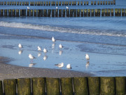 Spiegelbilder: Am Ostseestrand von Stubbenfelde.