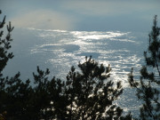 Eis auf dem Peenestrom: Der Weie Berg auf dem Gnitz.