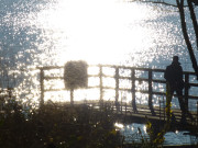 Steg in den Klpinsee: Usedom im November.